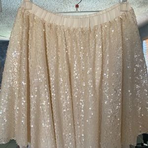 Zara Women’s sequin skirt